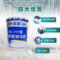 液化石油气储罐硫化物腐蚀涂料志盛威华711